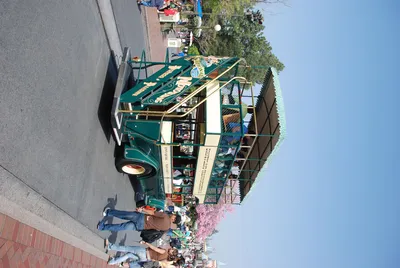 DSC_0008.jpg